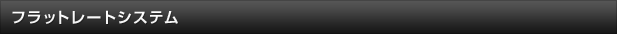 フラットレートシステム